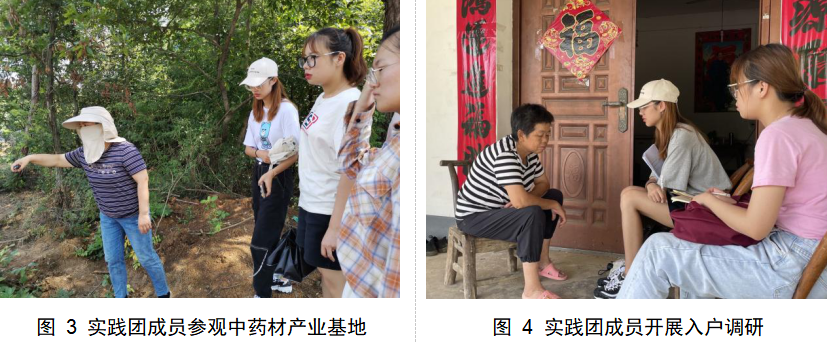 伟德国际