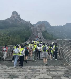 伟德国际